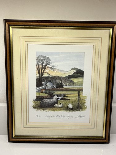 Professionally framed limited - framed,