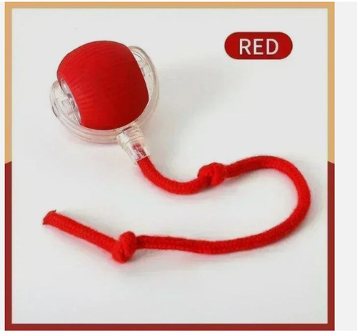 Interactive dog cat toy - &,