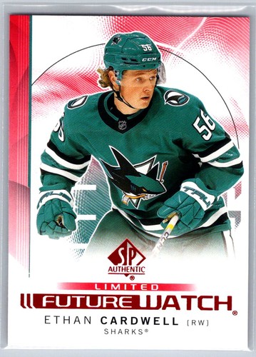 2024 authentic ethan - 2024-25,