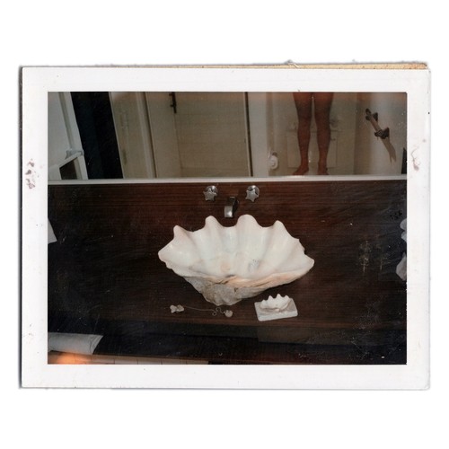 Polaroid seashell sink - of,