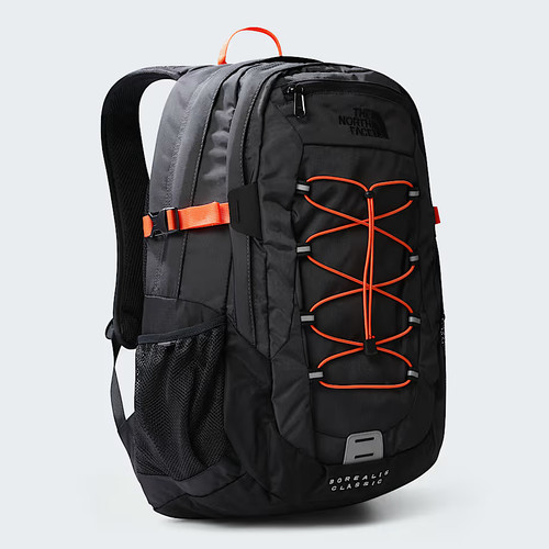The north face mens - north,