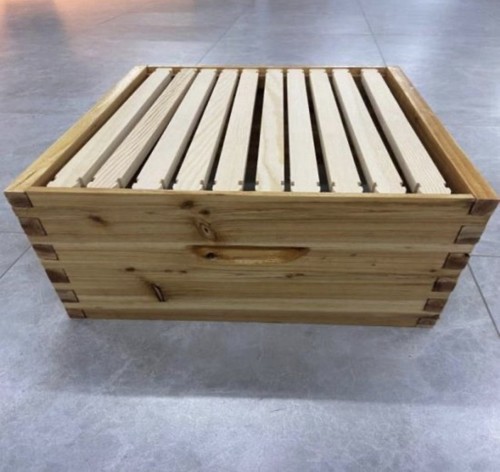 Vector bee hive fx1 - bee,