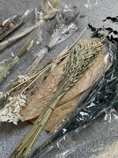 Dried Flowers Mixed Selection Long Stems Everlasting Home Decor Wedding Craft