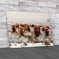 Exploring Scottish Winter With