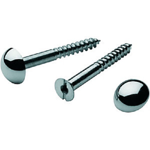Mirror screw fixings - screw, with