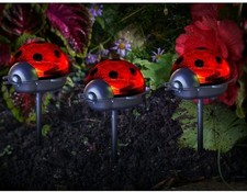 Solar Ladybird Stake Lights