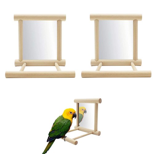 Pcs parrot bird - parrot, mirror