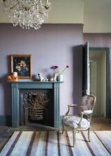 Purple Striped Ainslie AIN02