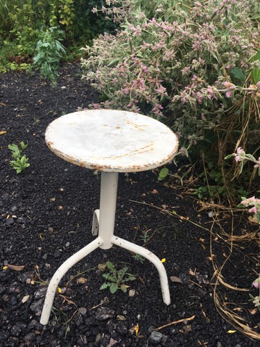Vintage revolving adjustable - vintage,