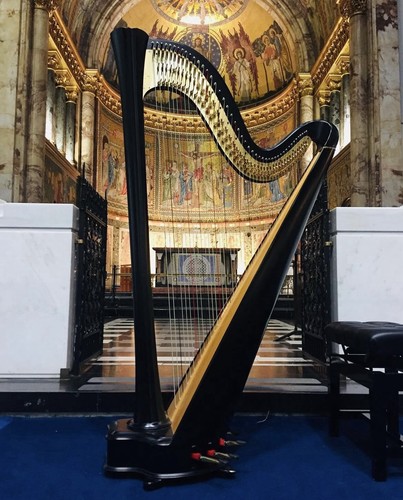 Salvi daphne pedal harp - daphne,