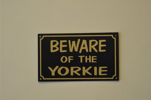Beware the yorkie - beware, or