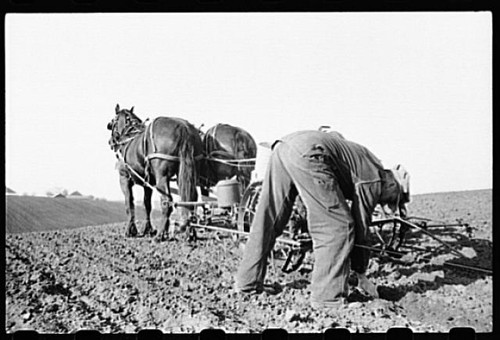 Photo jasper county iowa 1910s - photo:jasper,