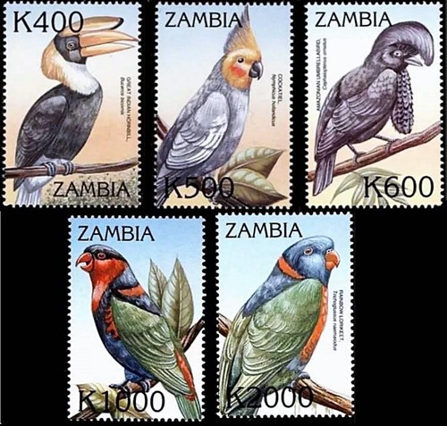 Zambia 2000 tropical - tropical, birds
