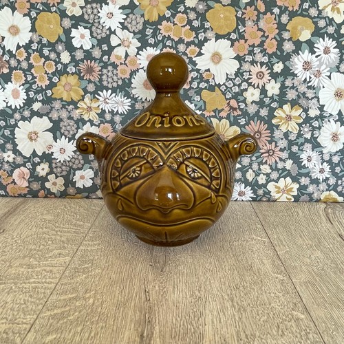 Retro crying onions face pot - onions,
