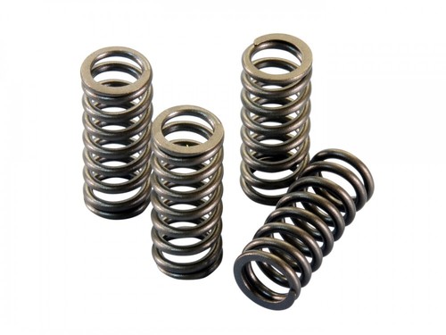 Polini valve spring set - polini,