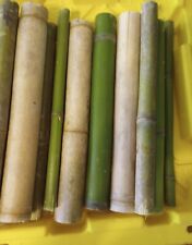 10 Bamboo Pole 12" Variety Sizes Poles For Crafts Bulk 1' Tiki Decor Patio