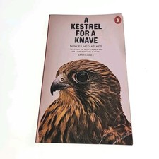 Kestrel for a Knave Barry