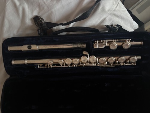 Trevor james 10xe flute with - trevor,