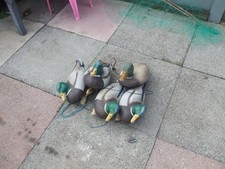 decoy ducks