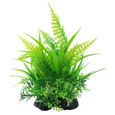 Swell Leafy Green Fern