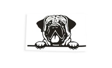 Mastiff Peeking Dog On Board