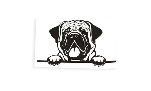 Mastiff peeking dog board - on,