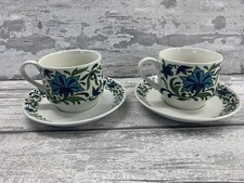 Midwinter Spanish Garden Cup &