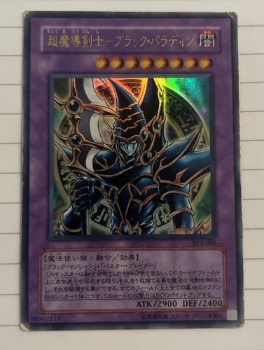 Dark paladin - paladin,