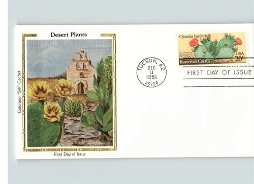 Set cactus desert - of, 4