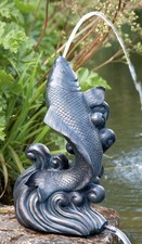 Bradshaws Dancing Koi Water