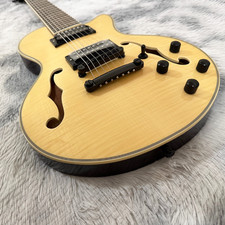 7-String Semi-Hollow Electric