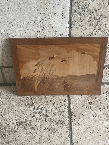 Flying ducks wooden wall - flying,