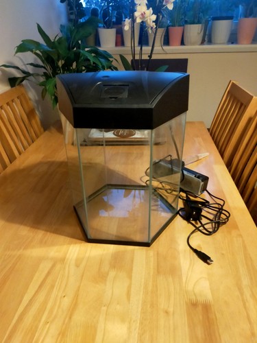 Hexagon compact aquarium fish - hexagon,