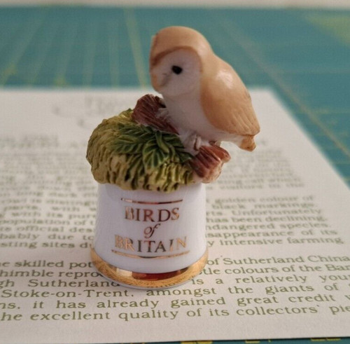 Barn owl sutherland england - barn,