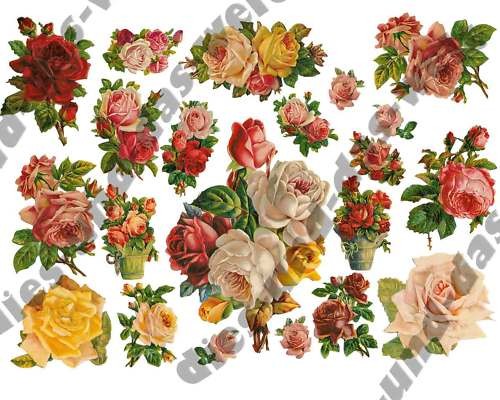 Vintage roses mix iron - ✿,