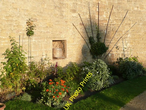 Photo 8x6 bee skep - 8x6,
