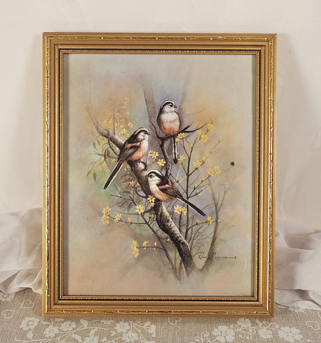 Vintage framed bird print - vintage,