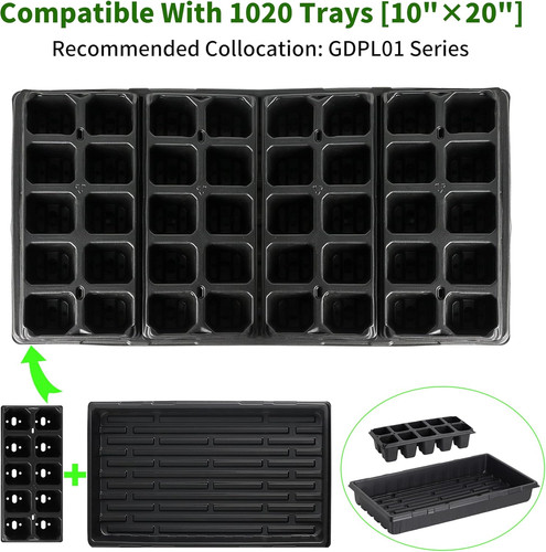 200 cells seed - cells, 20