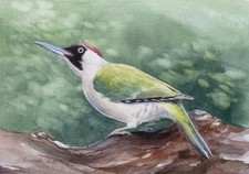 Original Signed Green