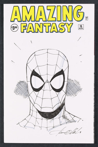 Amazing fantasy 15b - amazing, #15b