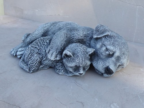 Adorable stone sleeping cat - adorable,