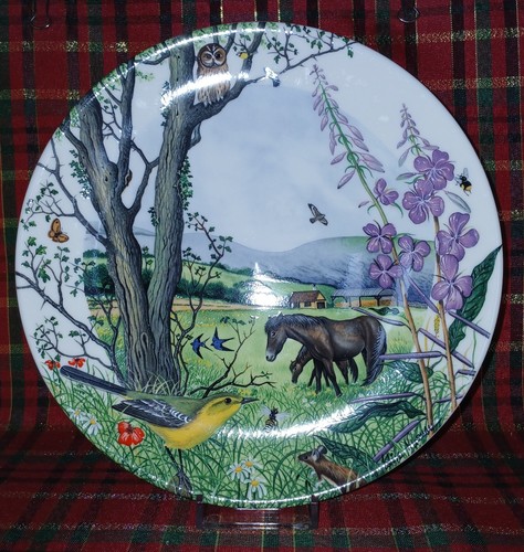 Decorative wedgwood the - decorative, "the