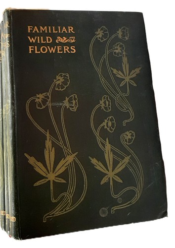 Familiar wild flowers f - flowers, by