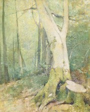 Woodland Interior Emil