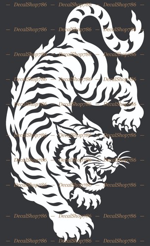 Muay thai tiger - muay,