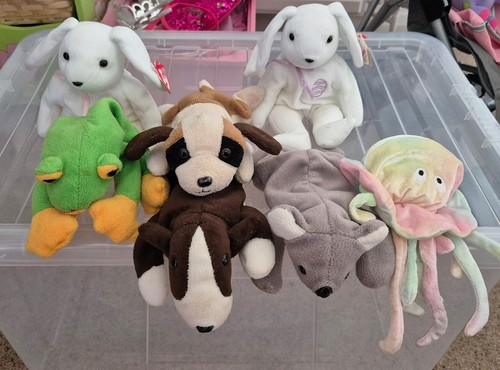 Beanie baby collection - ,