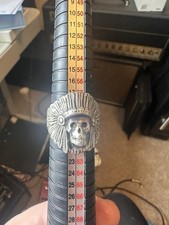 The Great Frog Indian Chief