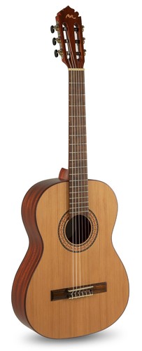 Manuel rodriguez tradicion t62 - manuel,