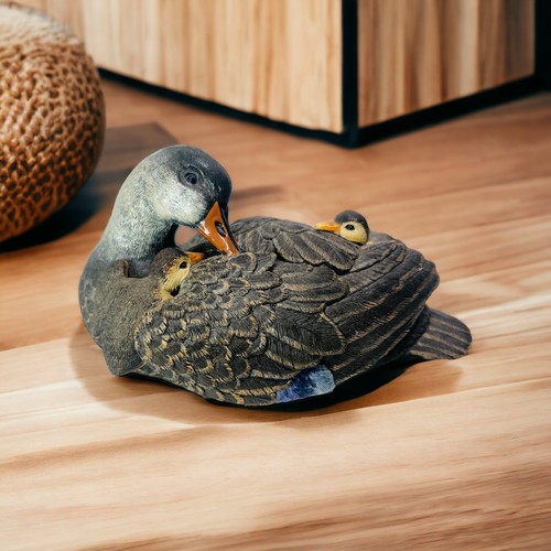 Duck desktop mallard hen - duck,