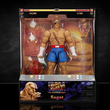 Ultra Street Fighter II Sagat
